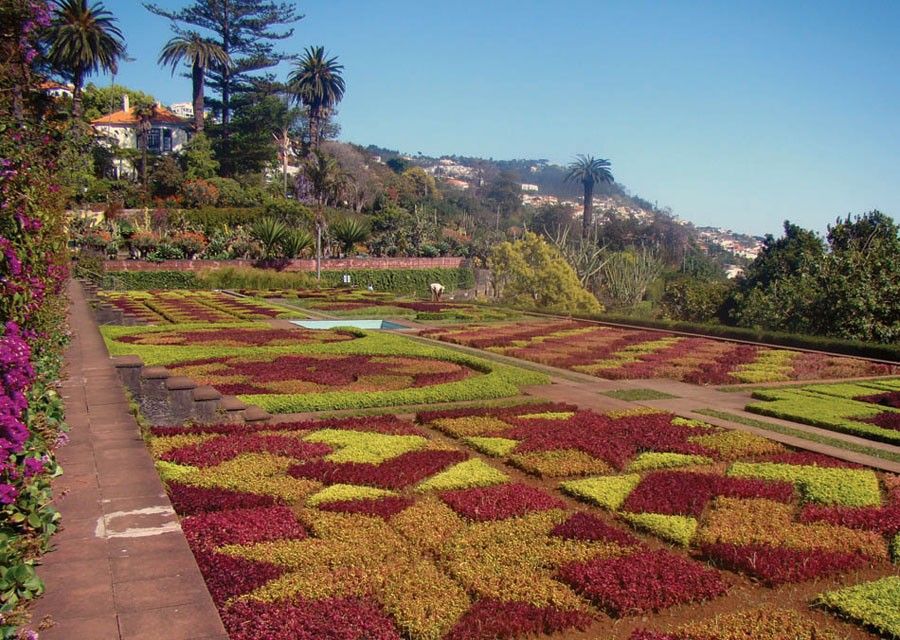 Botanical Garden Jardim Botnico