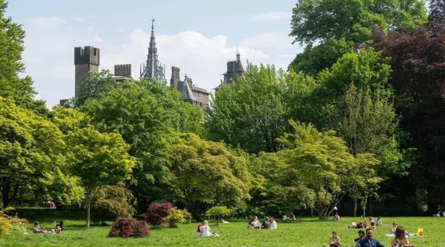bute park