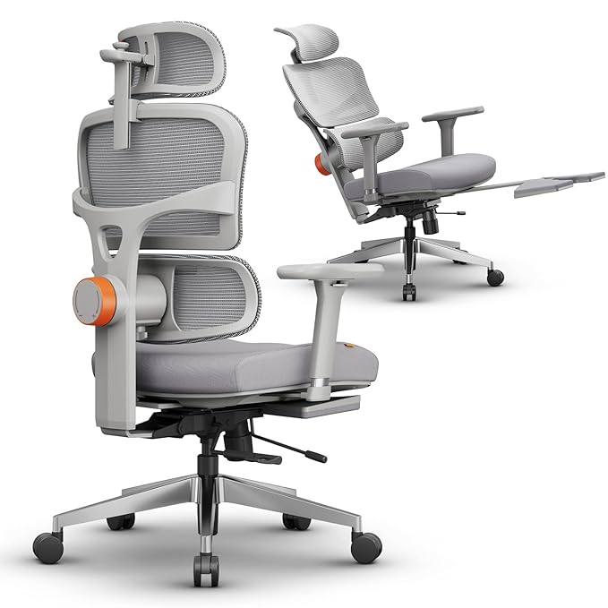 DROGO Premium Ergonomic Office Chair