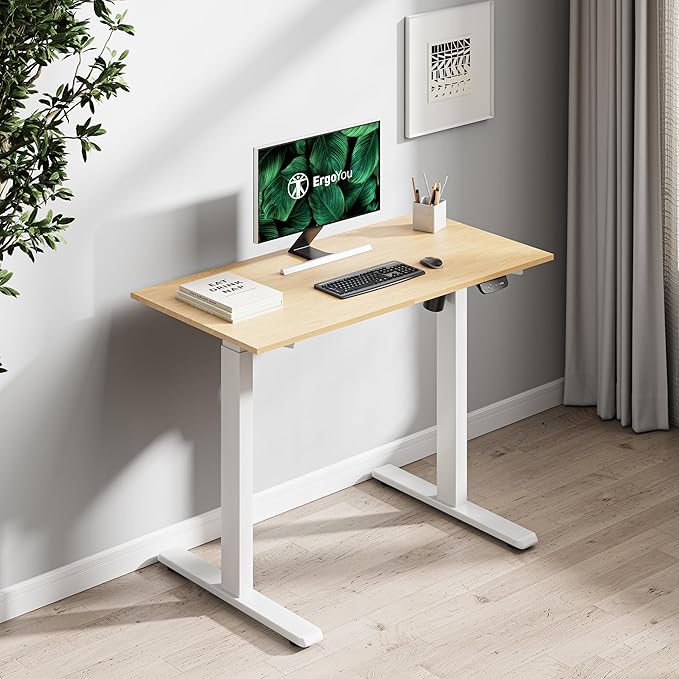ErgoYou Electric Height Adjustable Table