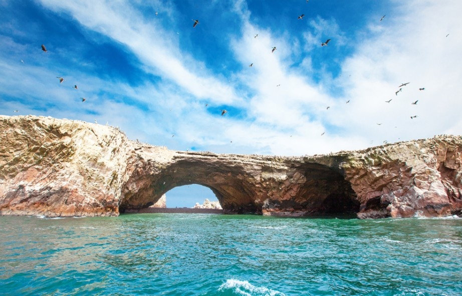 Paracas Ballestas Island