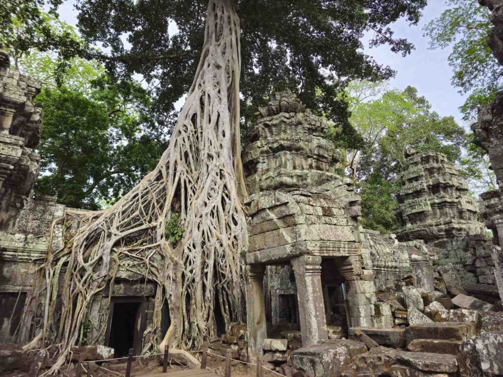 Ta Prohm Temple