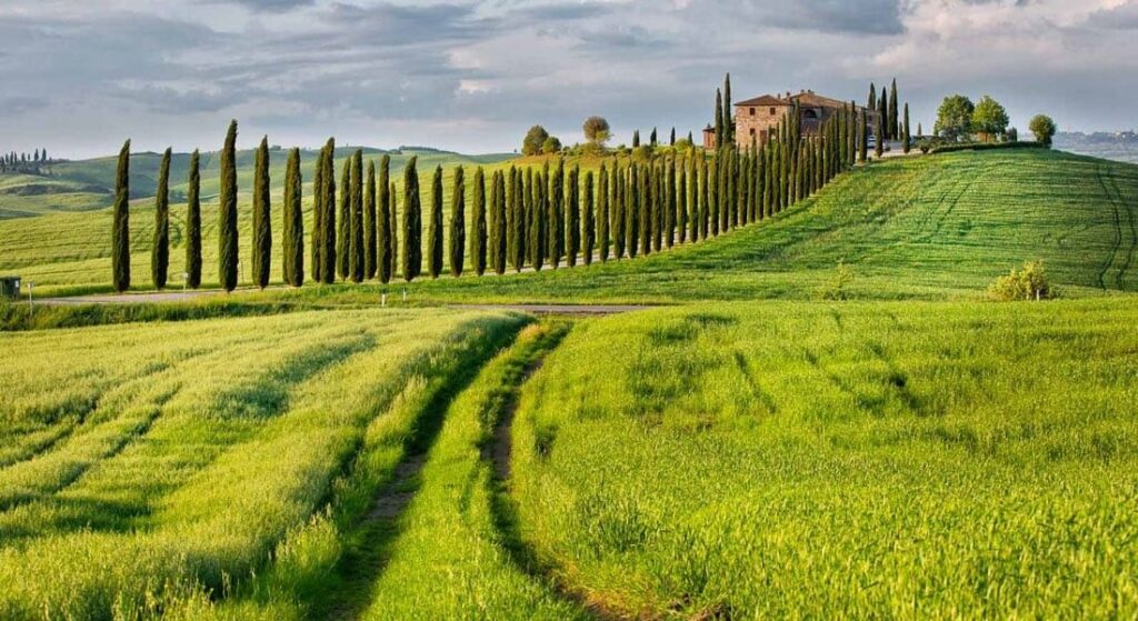 Vald Orcia