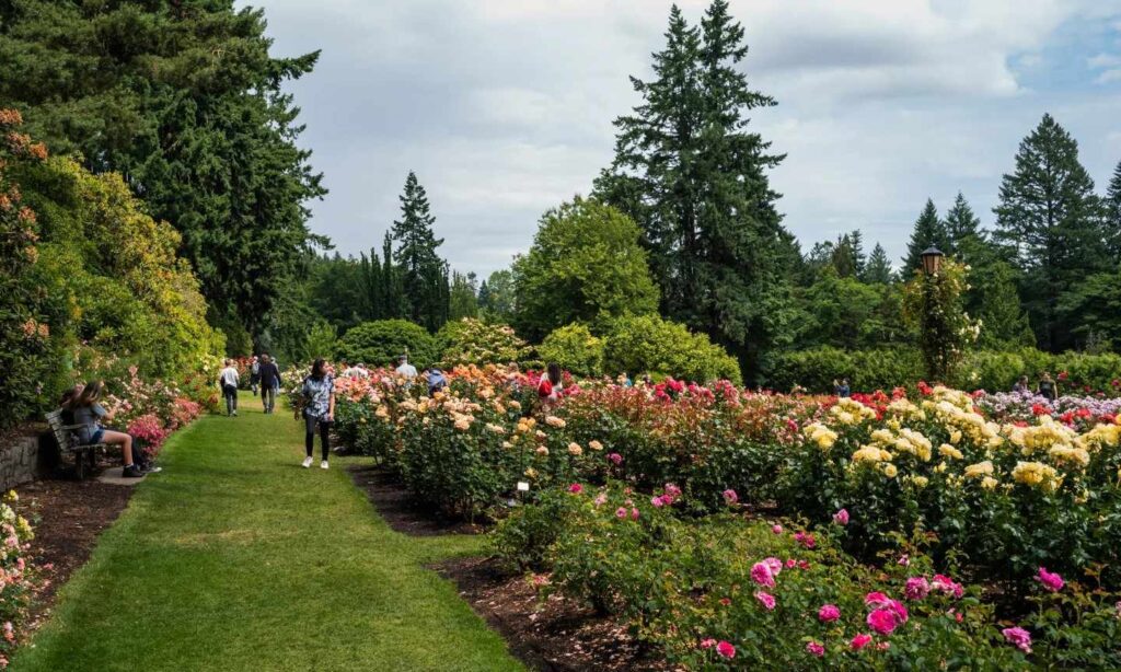 Washington Park