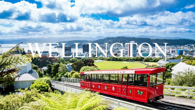 Wellington cover pic