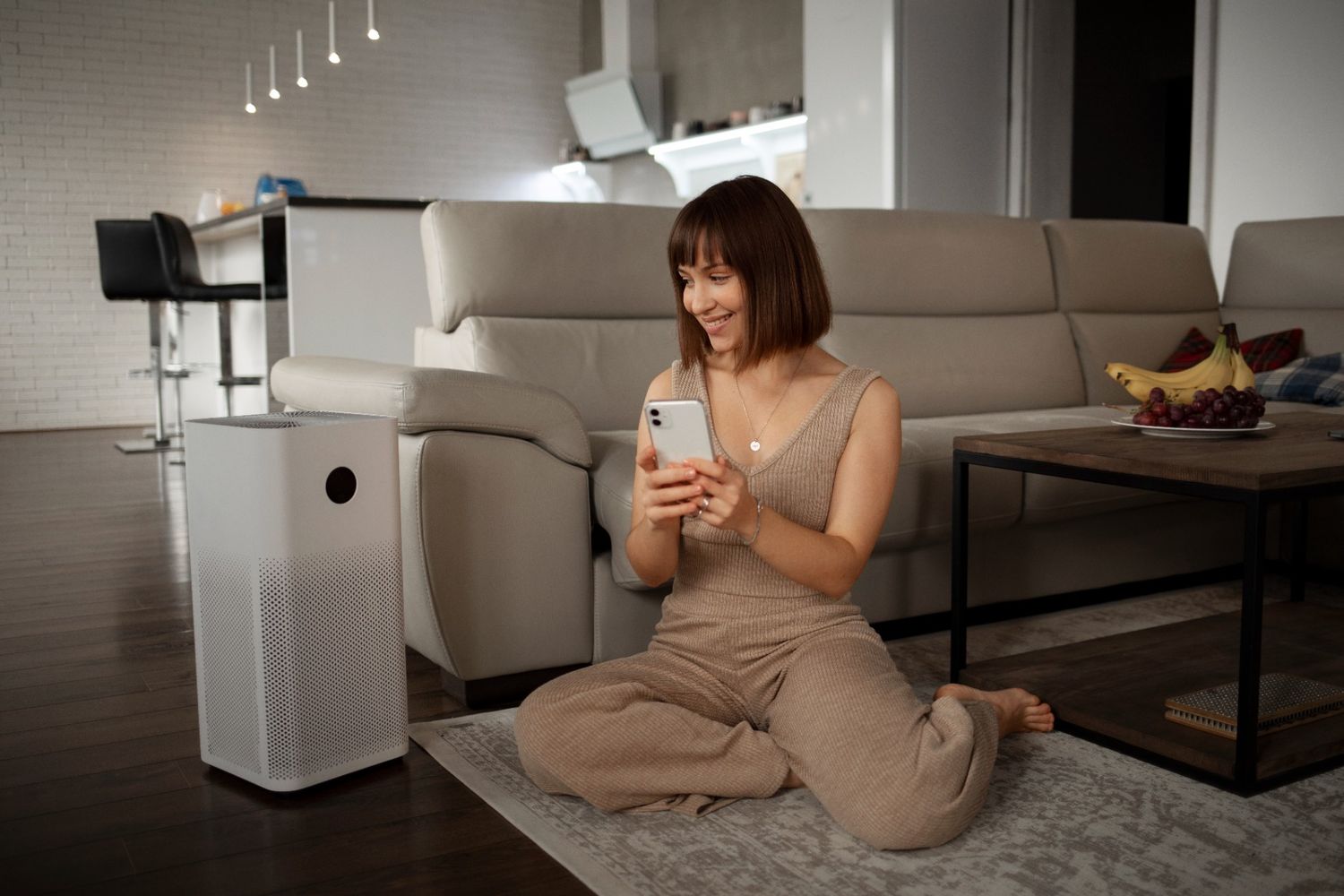 air purifier cover pic